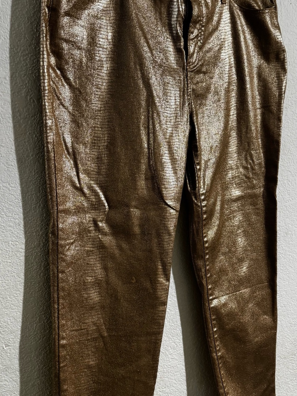 Metallic Skinny Pants Chicos